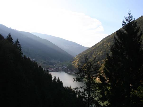Trabzon L.Y.D.